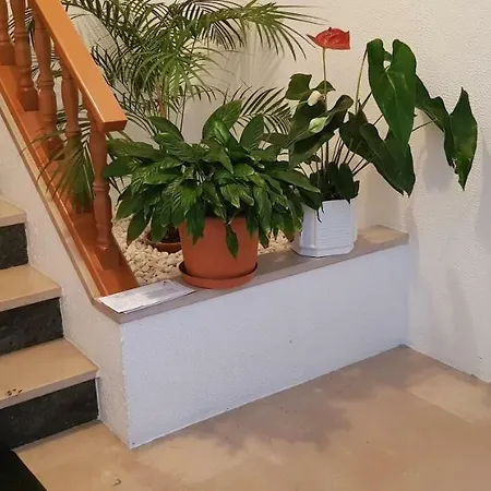 Camy House Nazare